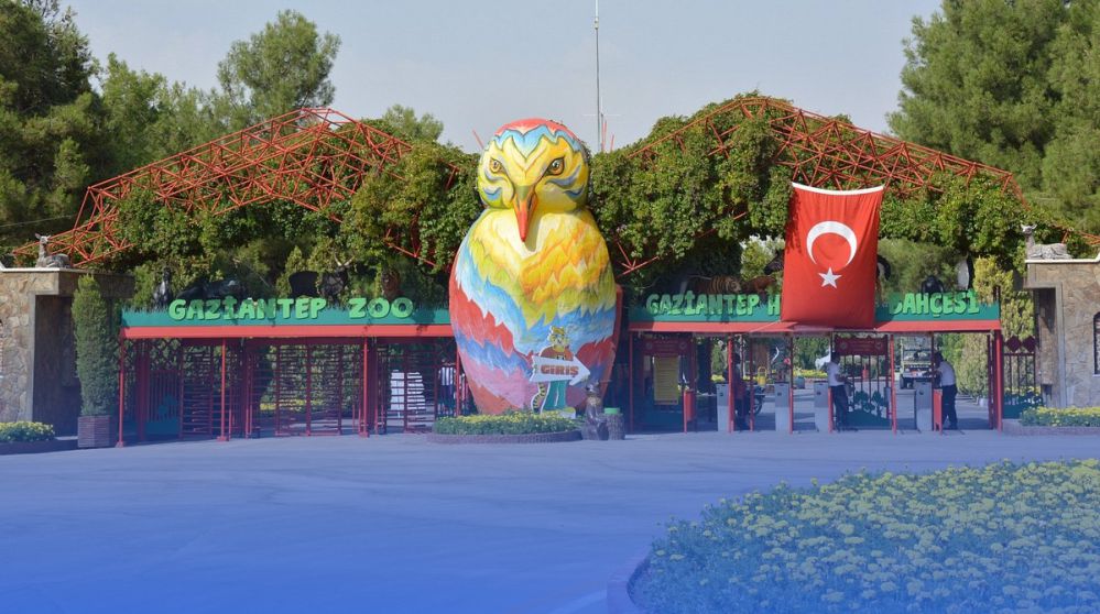 Gaziantep Araç Kiralama
