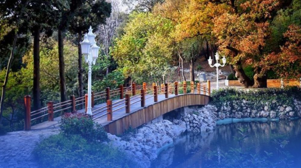 İstanbul Araç Kiralama